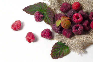 Similar image 20061059