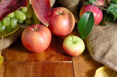 Similar image 20061186