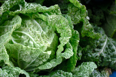 Similar image 20061406