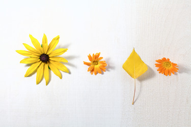 Similar image 20061401