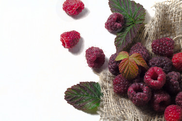 Similar image 20061404