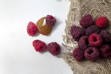 Similar image 20061408