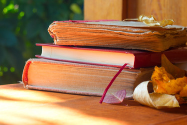 Similar image 20061693