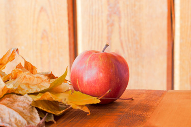 Similar image 20061695