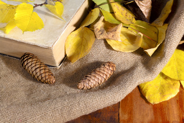 Similar image 20061697