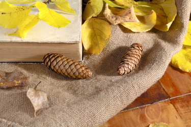 Similar image 20061772