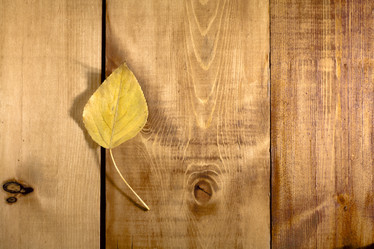 Similar image 20061776