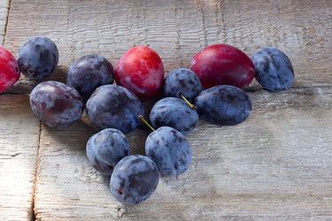 Similar image 20062137