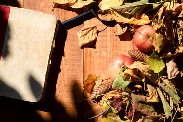 Similar image 20062138