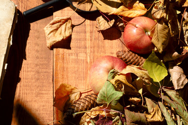 Similar image 20062178