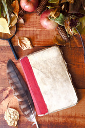 Similar image 20062217