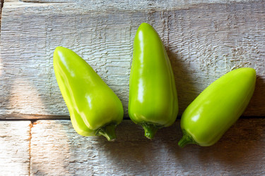 Similar image 20062220