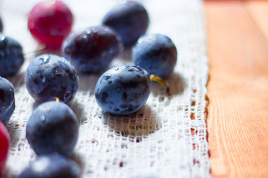 Similar image 20062239