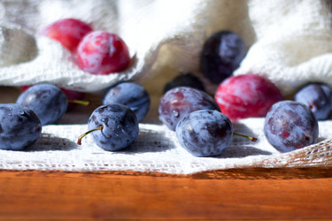 Similar image 20076507