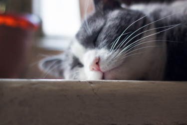 Similar image 20107975