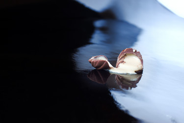 Similar image 20108038