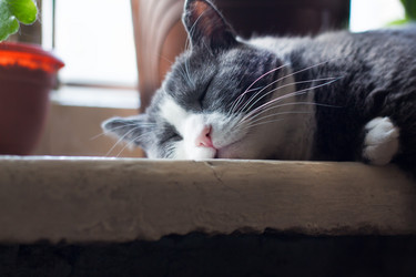 Similar image 20108056