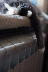 Similar image 20108057