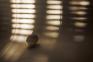 Similar image 20060027