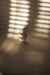 Similar image 20060023