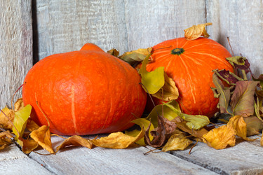 Similar image 20061488