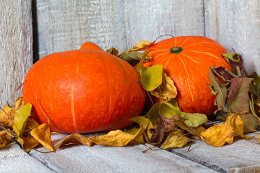 Similar image 20061490