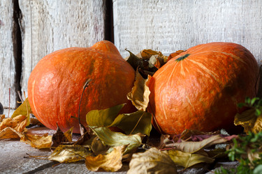 Similar image 20061492