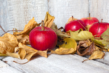 Similar image 20061628