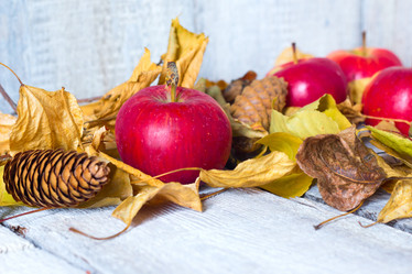 Similar image 20061642