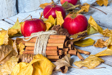 Similar image 20061692