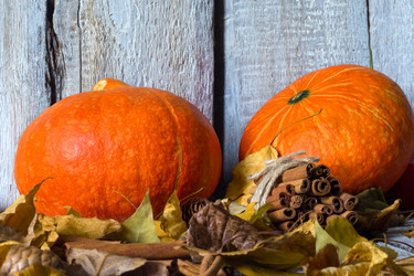 Similar image 20061712