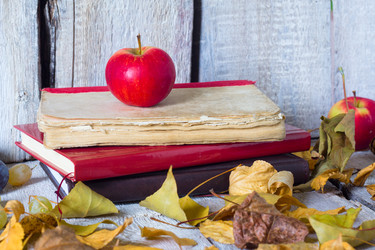 Similar image 20061862