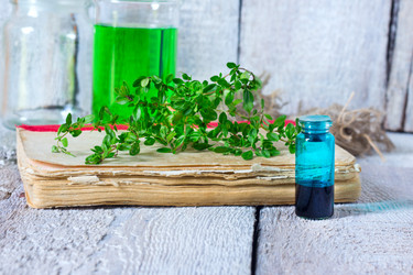 Similar image 20061887