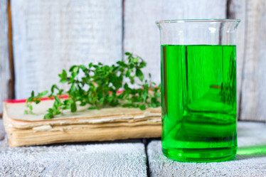 Similar image 20061918