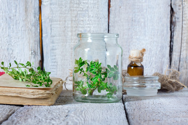 Similar image 20061928