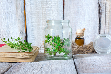 Similar image 20061930