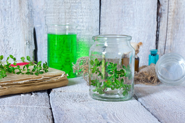 Similar image 20061932