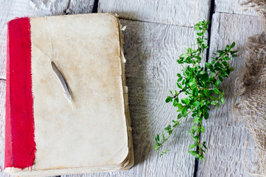 Similar image 20061938