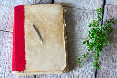 Similar image 20061941