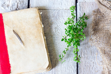 Similar image 20061947