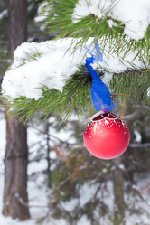 Similar image 20076514