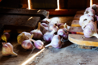 Similar image 20076663