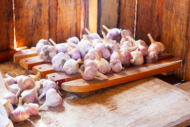 Similar image 20076818