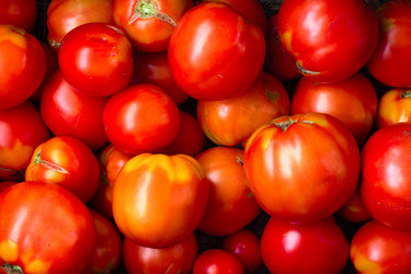 Similar image 20077529