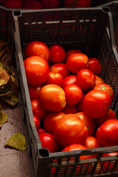 Similar image 20077532