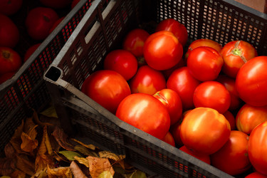 Similar image 20077662