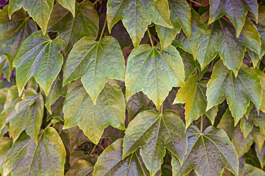 Similar image 20163205