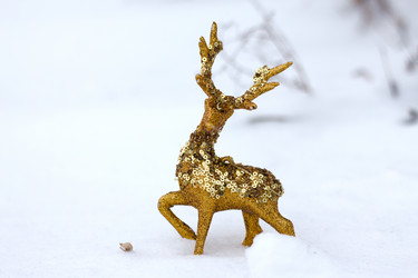 Similar image 20060033