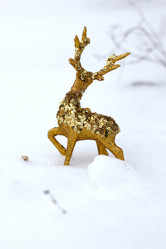 Similar image 20060049