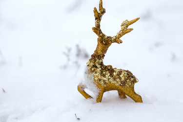 Similar image 20060026